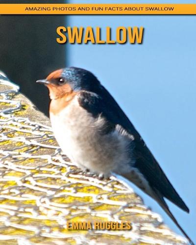 Swallow