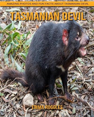 Tasmanian Devil
