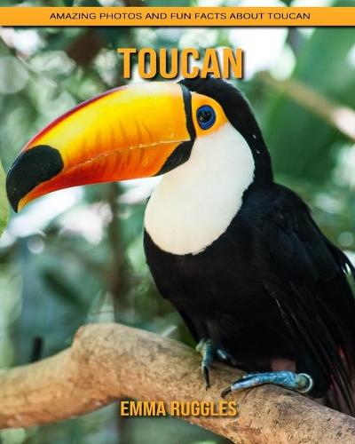 Toucan