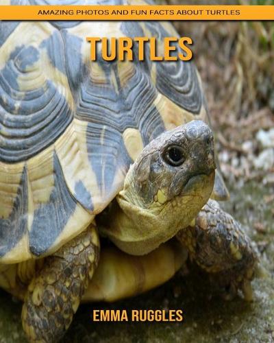 Turtles