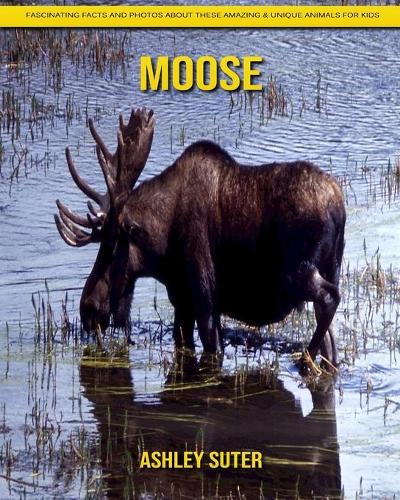 Moose