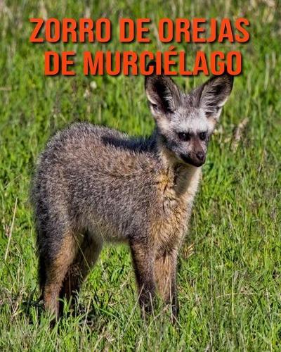 Zorro de orejas de murcielago