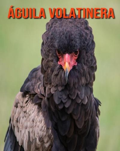 Aguila volatinera
