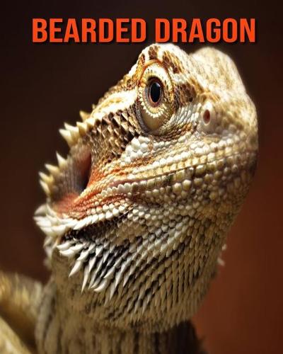 Bearded Dragon