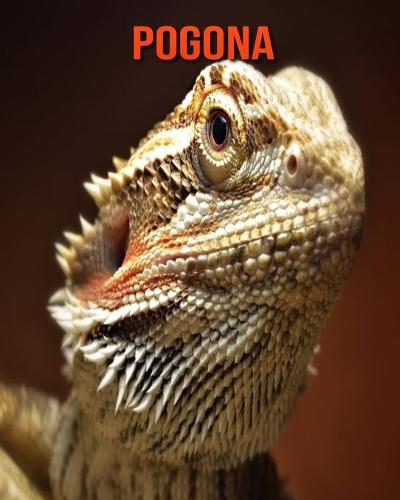 Pogona