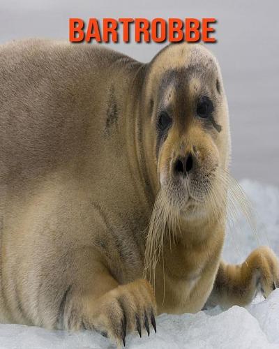 Bartrobbe