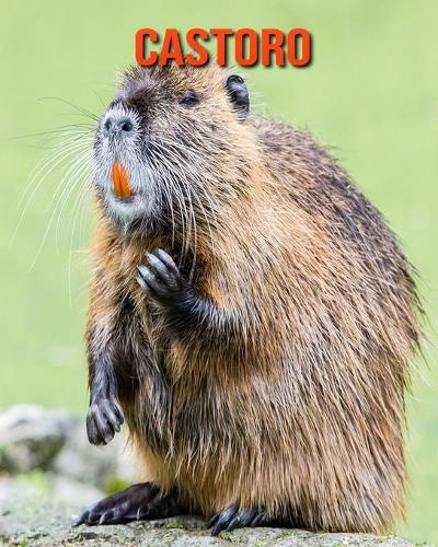 Castoro