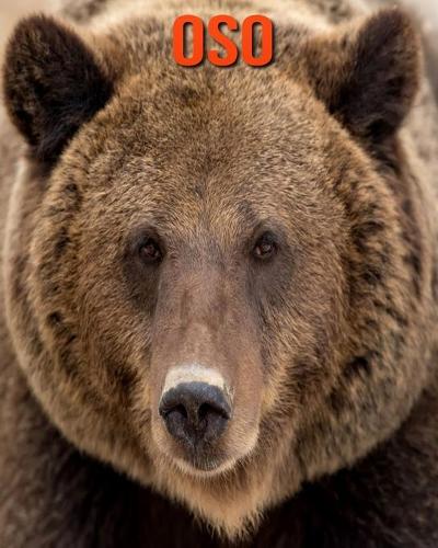 Oso