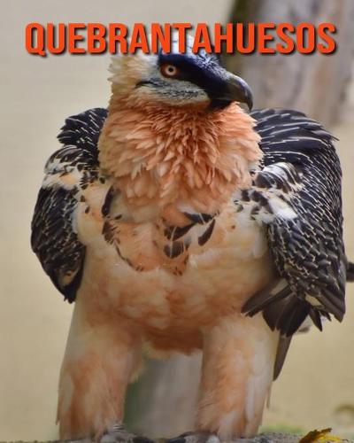 Quebrantahuesos