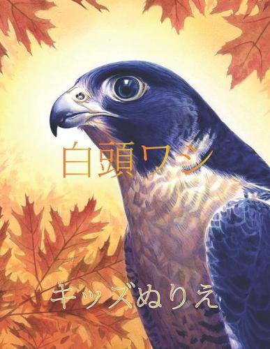 白頭ワシ キッズぬりえ