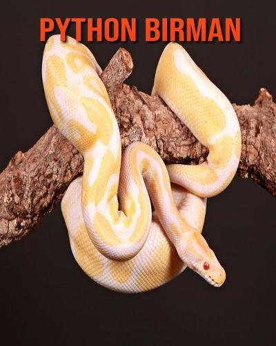 Python Birman