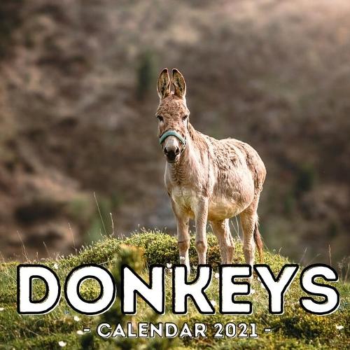 Donkeys Calendar 2021