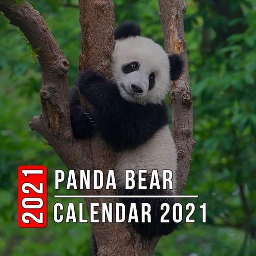 Panda Bear Calendar 2021