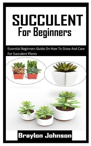 Succulent for Beginners