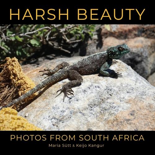 Harsh Beauty