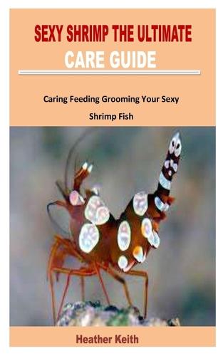 Sexy Shrimp the Ultimate Care Guide