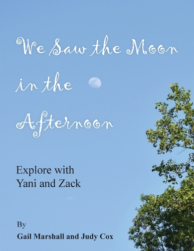 We Saw the Moon in the Afternoon