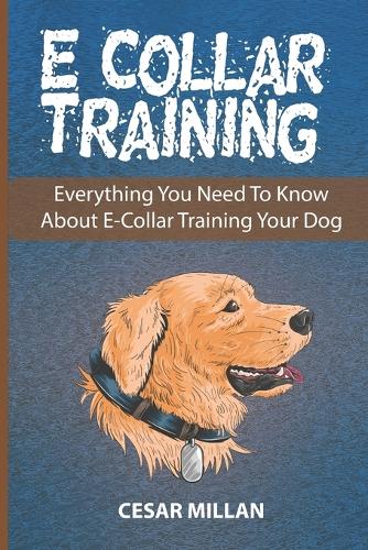 E-Collar Training