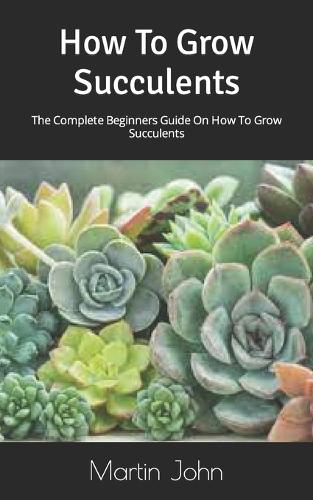 How To Grow Succulents