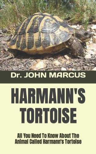 Harmann's Tortoise