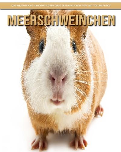 Meerschweinchen