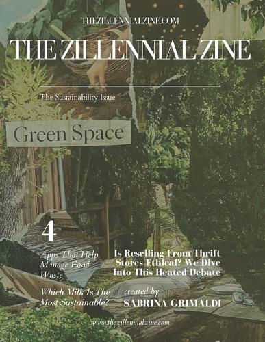 The Sustainability Issue