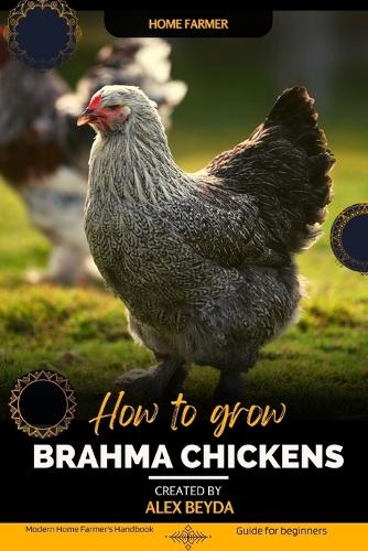 Brahma Chickens