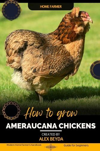 Ameraucana Chickens