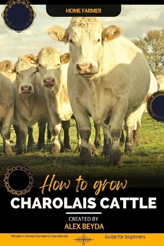 Charolais Cattle