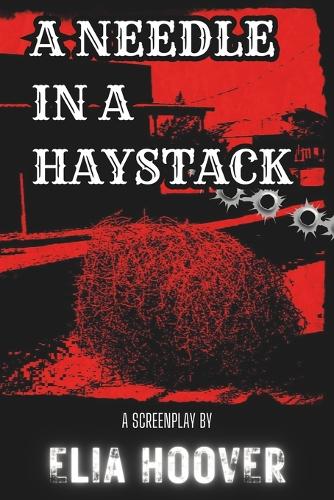 A Needle In A Haystack
