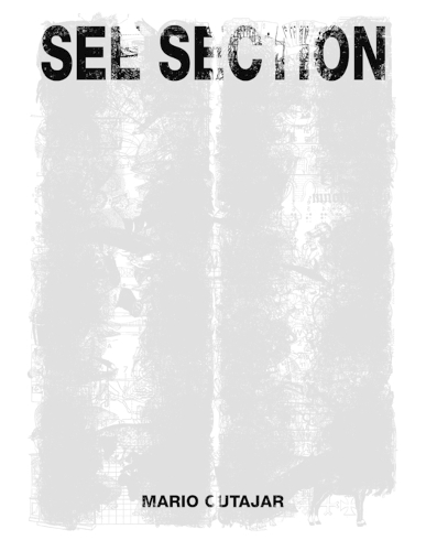 See Section