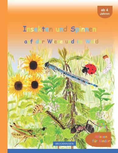 Insekten und Spinnen auf der Wiese und im Wald