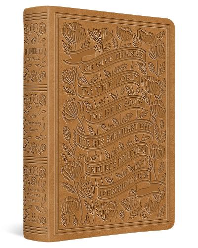 ESV Illuminated™ Bible, Art Journaling Edition