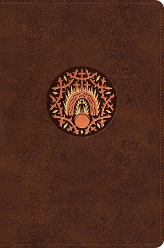 ESV The Biggest Story Holy Bible for Kids
