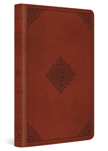 ESV Large Print Value Thinline Bible