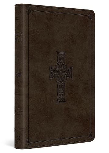 ESV Large Print Value Thinline Bible