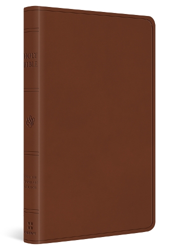 ESV Large Print Value Thinline Bible