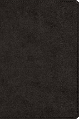 ESV Large Print Bible