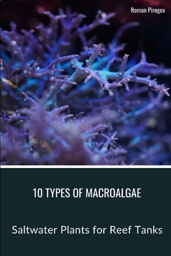 10 Types of Macroalgae