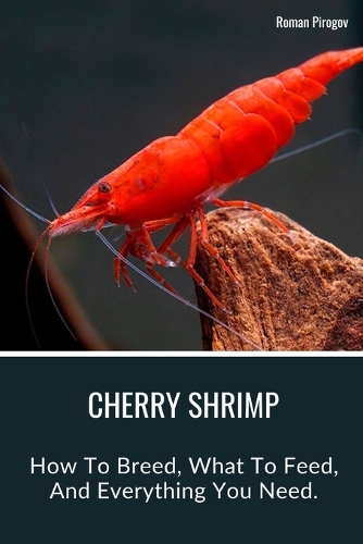 Cherry Shrimp