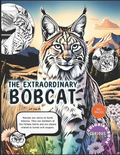 The Extraordinary Bobcat, kids 5-16, Big Cat Coloring Book