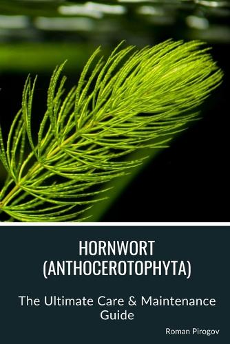 Hornwort (Anthocerotophyta)