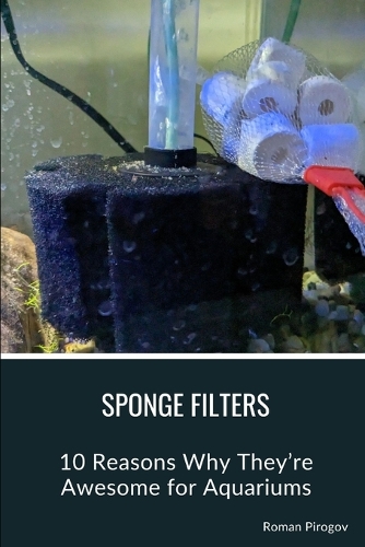 Sponge Filters