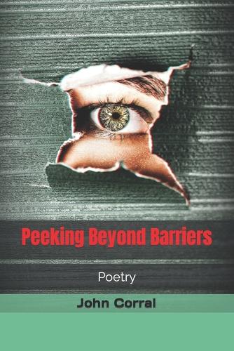 Peeking Beyond Barriers
