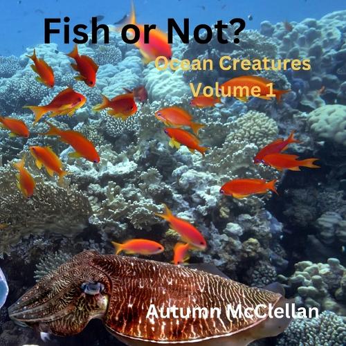 Fish or Not?