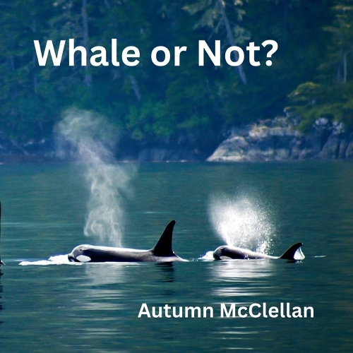 Whale or Not?