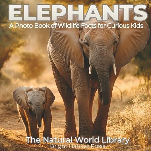 Elephants