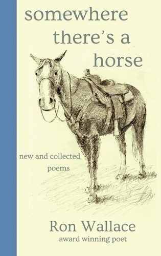 Somewhere There's a Horse