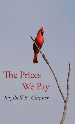 The Prices We Pay
