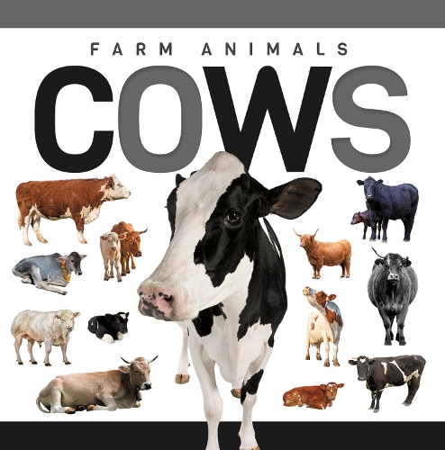 Cows